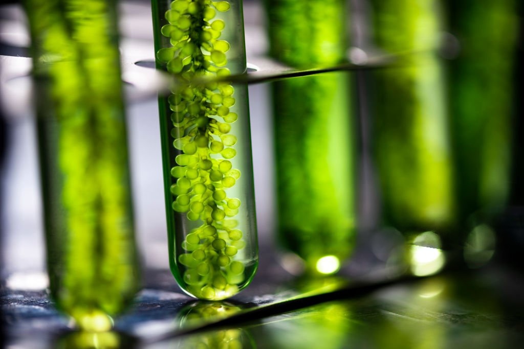 Biotech Industries